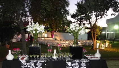 ILUMINACION COCKTAIL