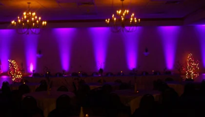 Iluminacion perimetral 1