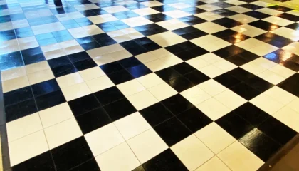 Pista de Baile Blanco y Negro 2