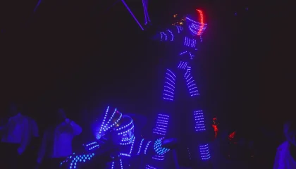 SHOWS
