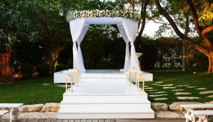 TARIMA CEREMONIA